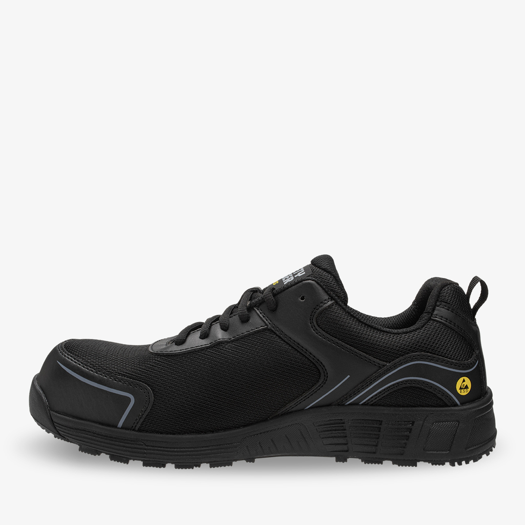 AAK S1P LOW
