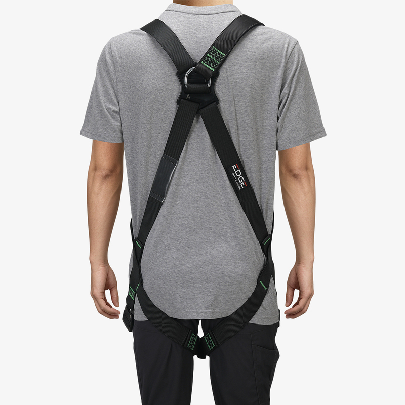 Image 5 of DYNAMIC2 ED
